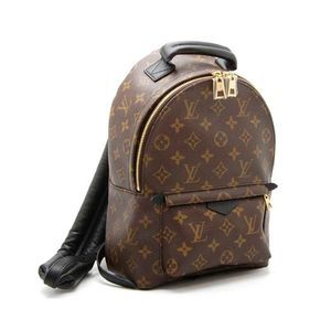 Louis Vuitton Palm Springs Backpack PM Monogram